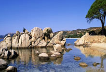 中山未命名